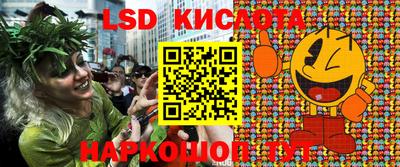 прущие грибы Кунгур