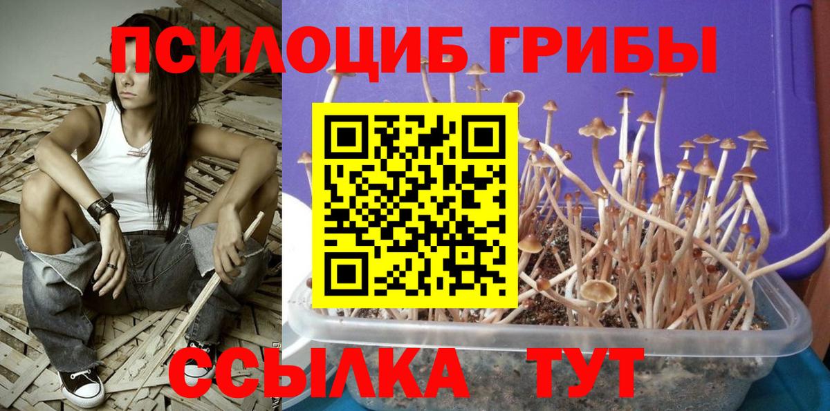 Каменск-Уральский  Галлюциногенные грибы прущие грибы  Галлюциногенные грибы MAGIC MUSHROOMS  Вход с VPN 